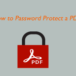 How to Password Protect a PDF Safely? [A Step-by-Step Guide]