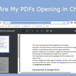 Why Are My PDFs Opening in Chrome | Change Default PDF Viewer