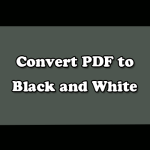 An Ultimate Guide to Convert PDF to Black and White