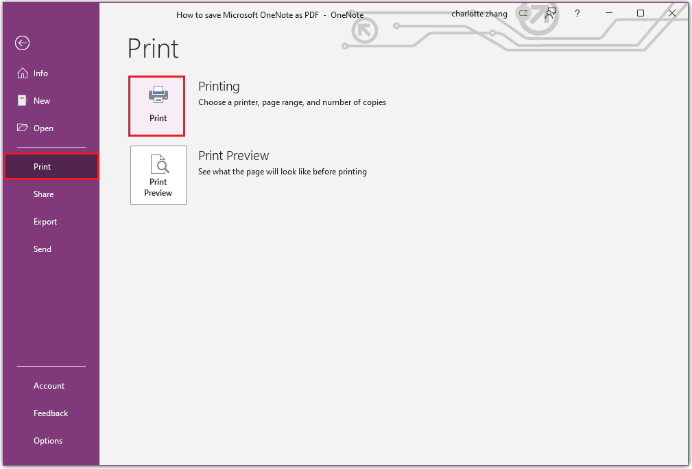 the steps to print OneNote as PDF