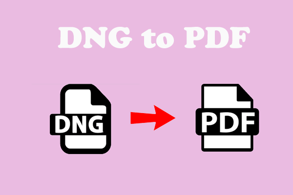 How to Convert DNG to PDF? Here’s the Full Guide