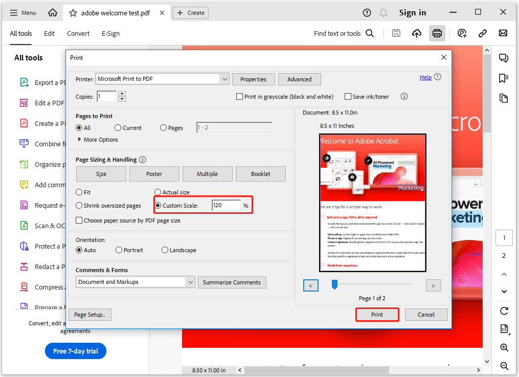 set the scale value and click Print