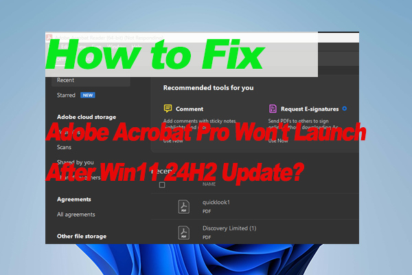 How to Fix Adobe Acrobat Pro Won't Launch after Win11 24H2 Update