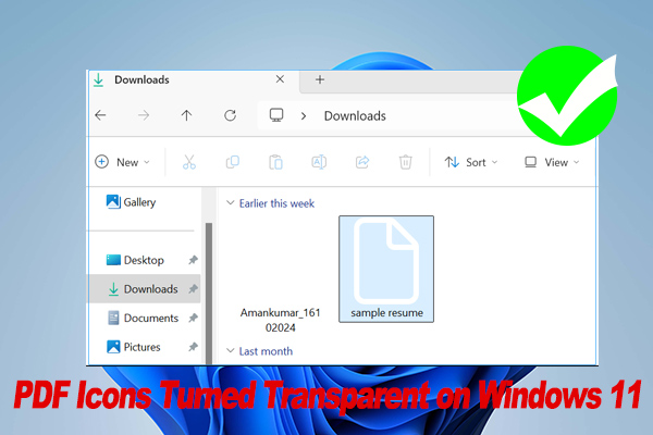 How to Fix PDF Icons Turned Transparent on Windows 11/10