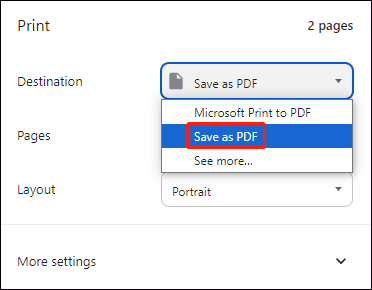 choose Save as PDF